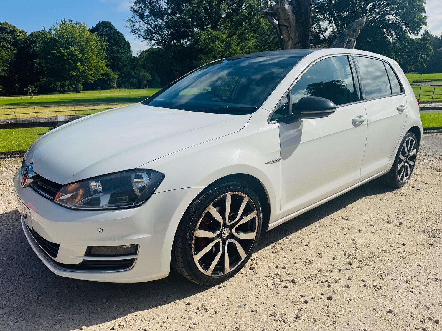 2014 VOLKSWAGEN GOLF 2014 VOLKSWAGEN GOLF