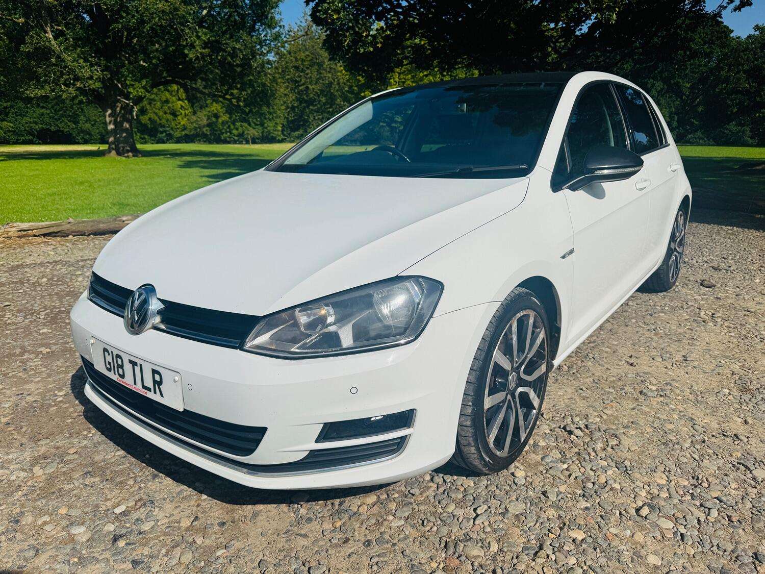 2014 VOLKSWAGEN GOLF 2014 VOLKSWAGEN GOLF