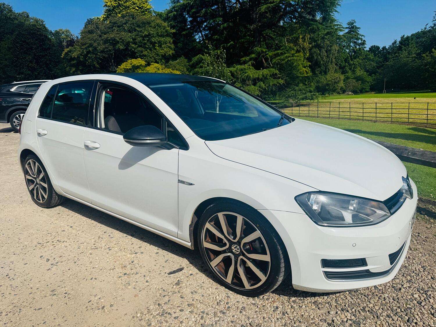 2014 VOLKSWAGEN GOLF 2014 VOLKSWAGEN GOLF