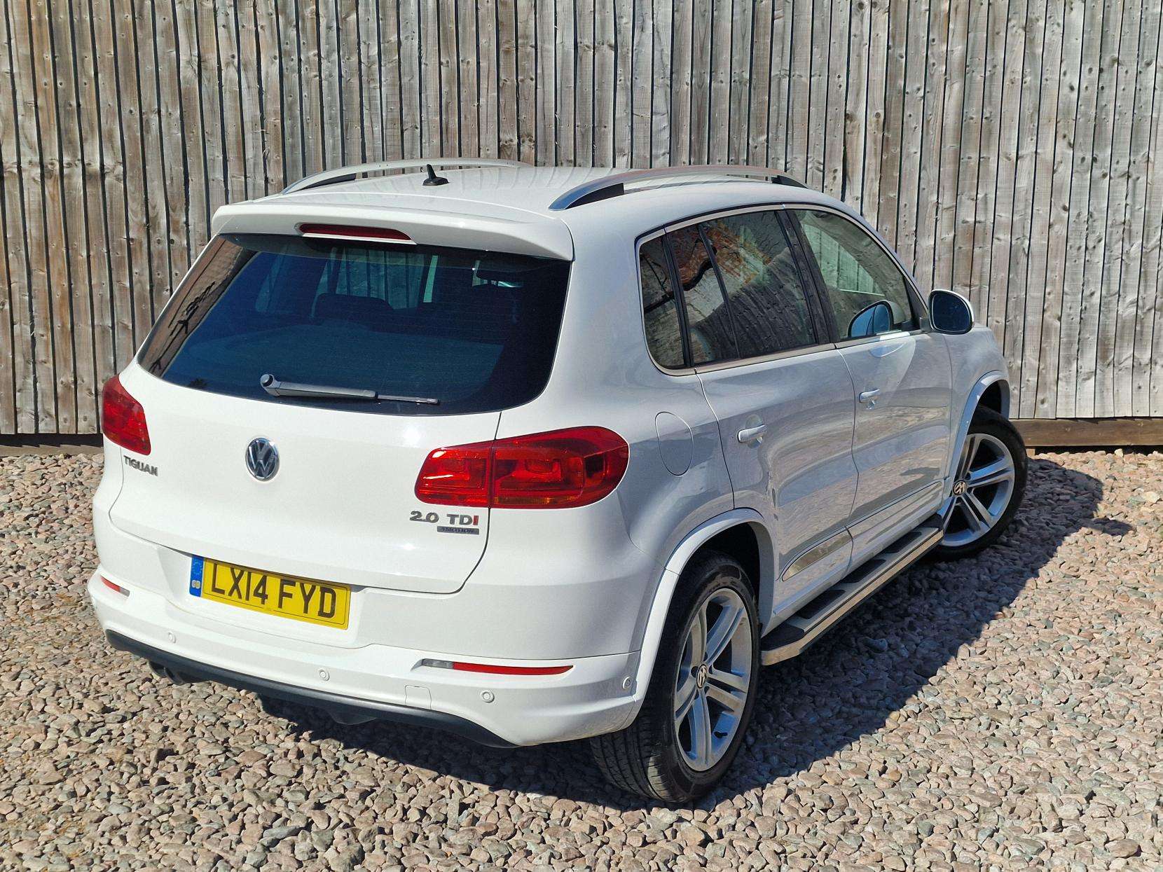 2014 VOLKSWAGEN TIGUAN 2014 VOLKSWAGEN TIGUAN