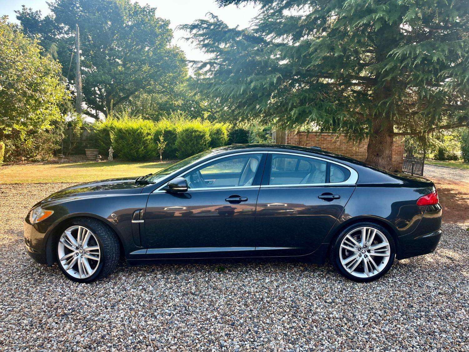 2011 JAGUAR XF 2011 JAGUAR XF