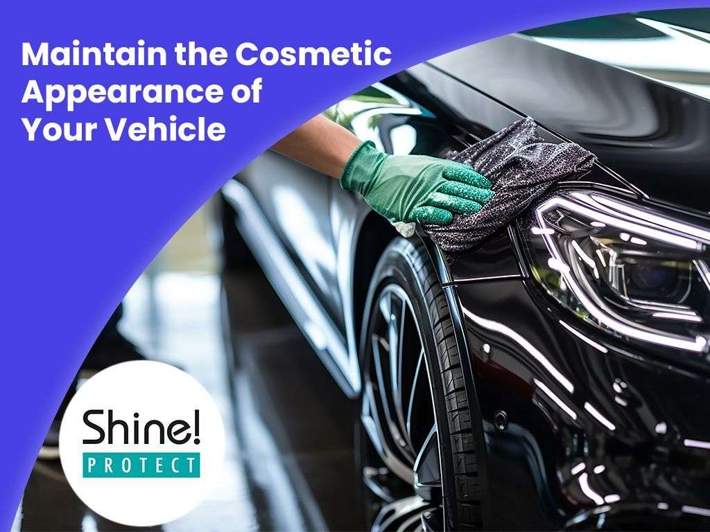 2023 TESLA MODEL Y 2023 TESLA MODEL Y