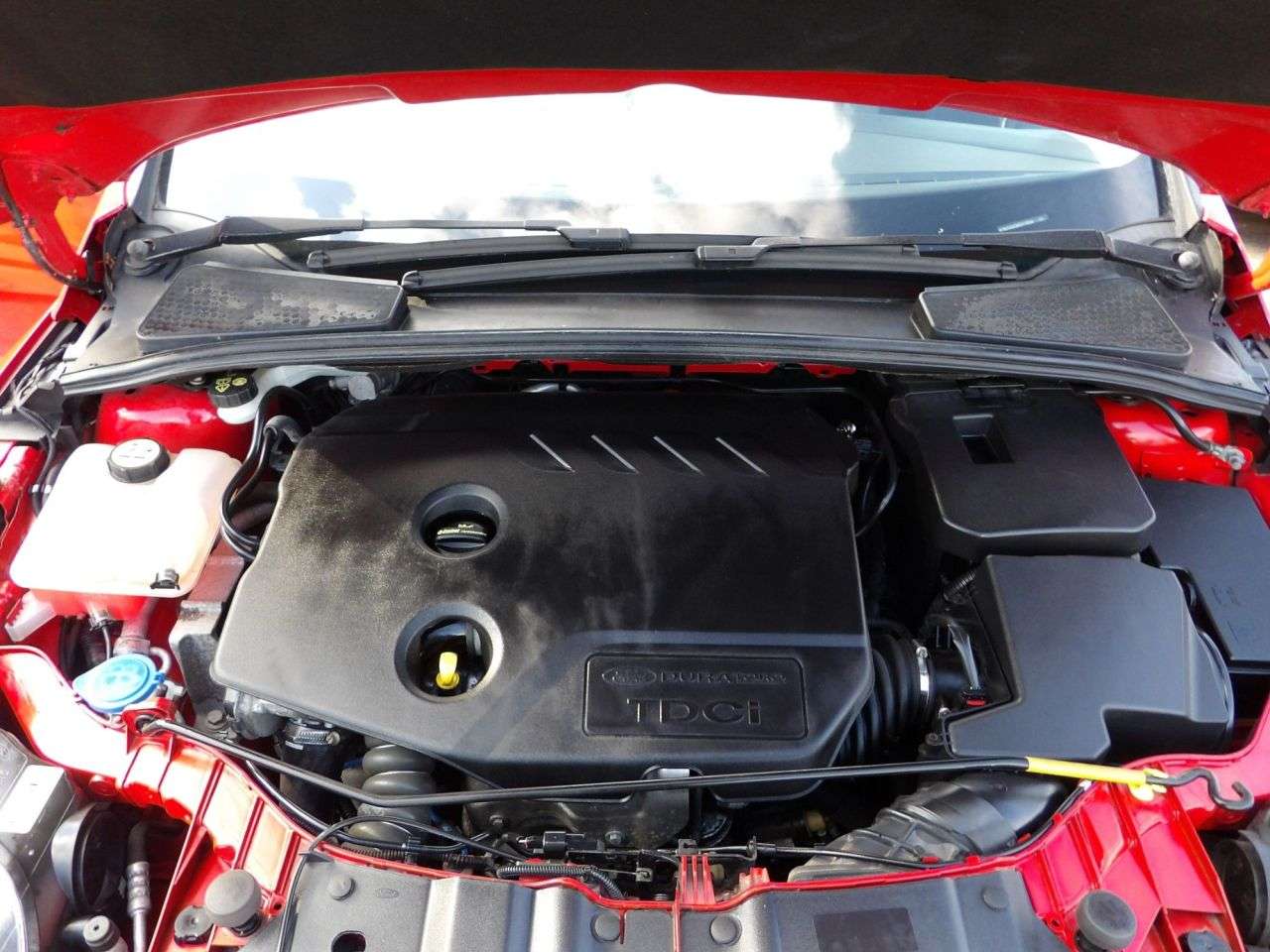 2014 FORD FOCUS 2014 FORD FOCUS