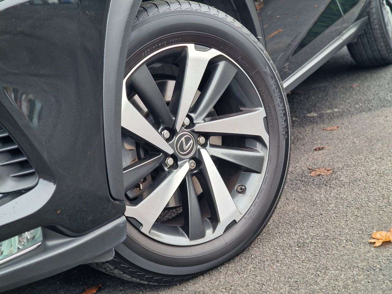 2019 LEXUS NX 2019 LEXUS NX