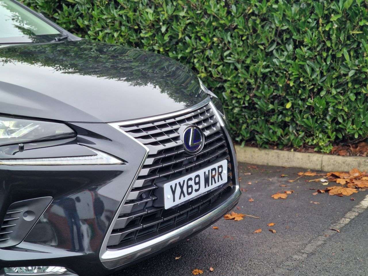 2019 LEXUS NX 2019 LEXUS NX