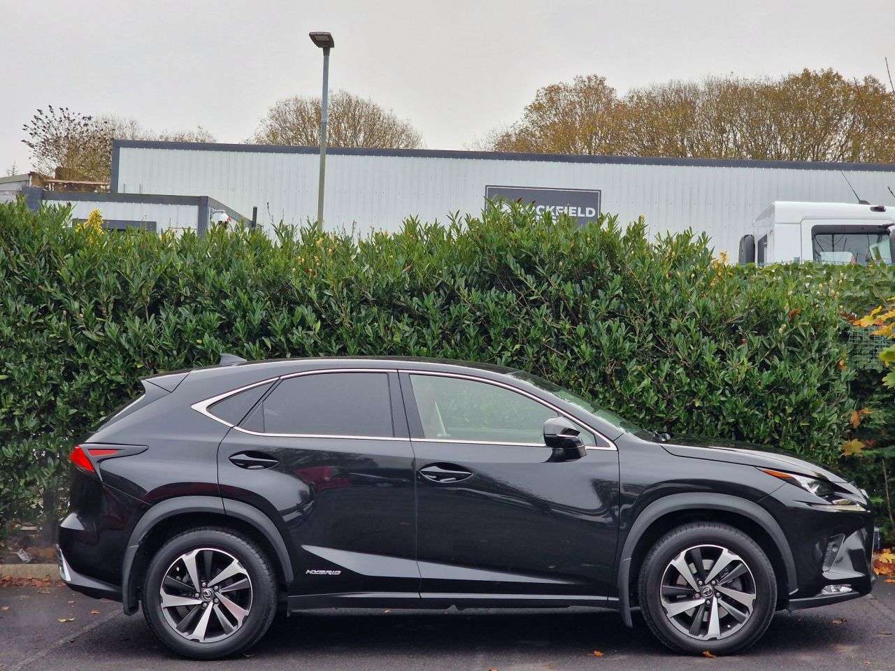 2019 LEXUS NX 2019 LEXUS NX