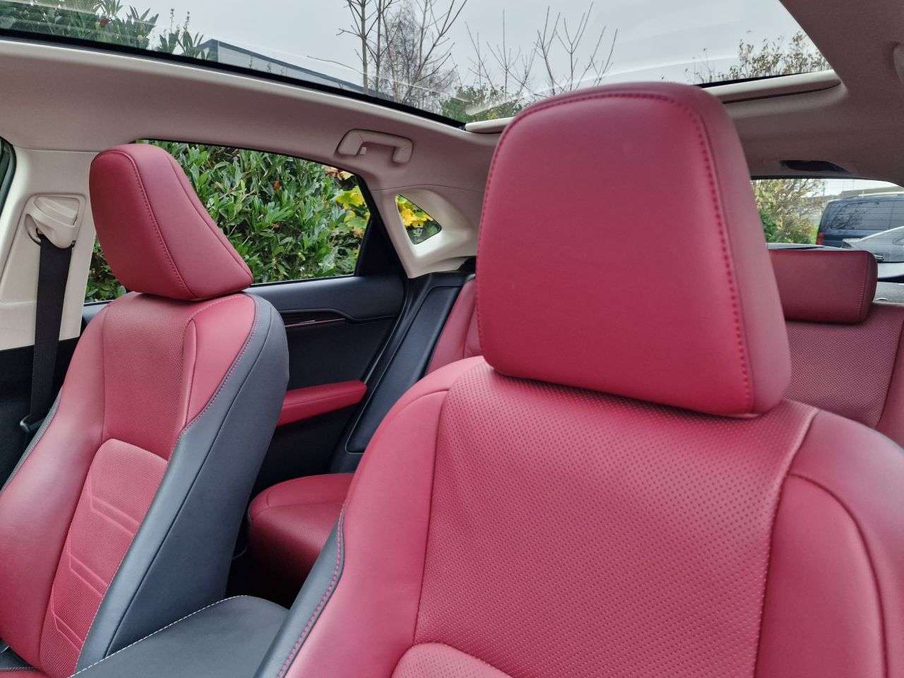 2019 LEXUS NX 2019 LEXUS NX