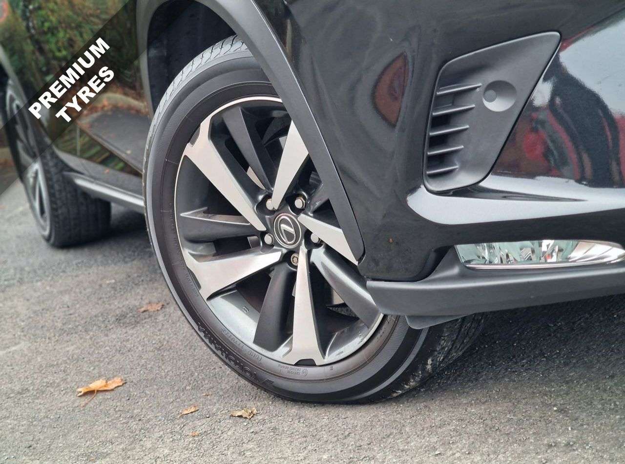 2019 LEXUS NX 2019 LEXUS NX