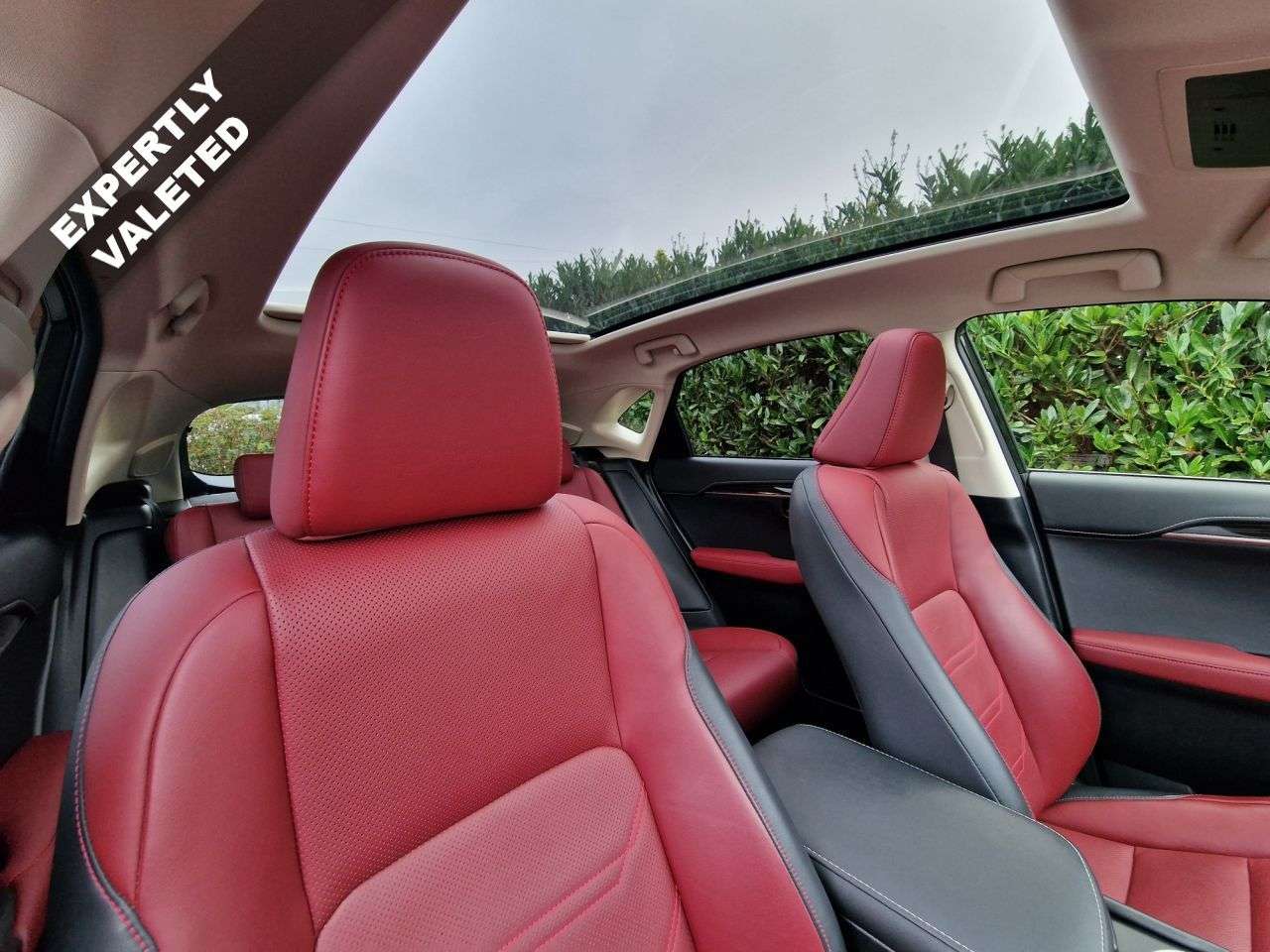 2019 LEXUS NX 2019 LEXUS NX