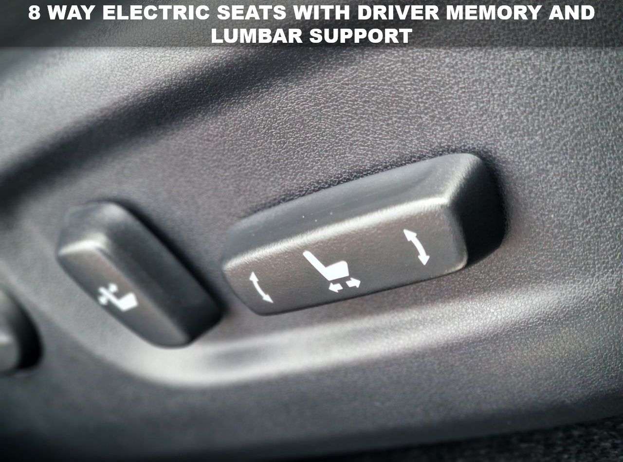 2019 LEXUS NX 2019 LEXUS NX