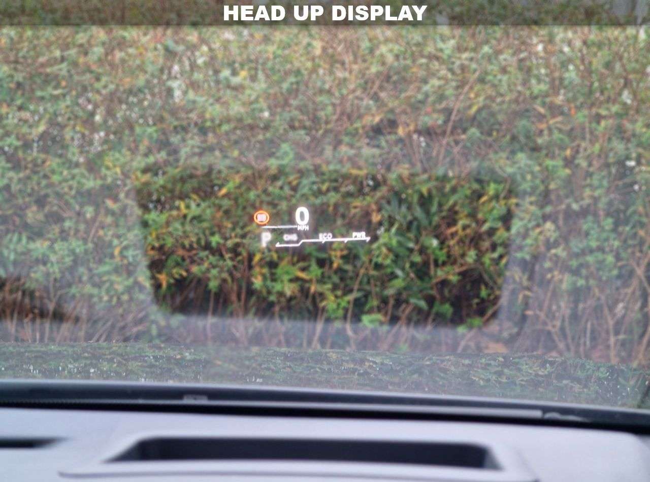 2019 LEXUS NX 2019 LEXUS NX