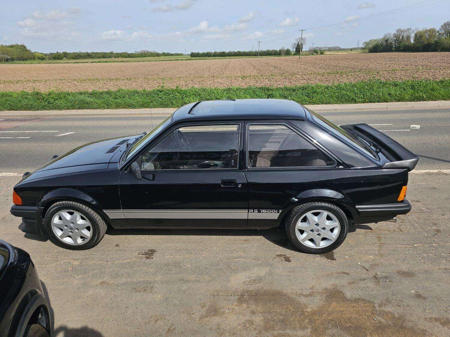 1981 FORD ESCORT 1981 FORD ESCORT