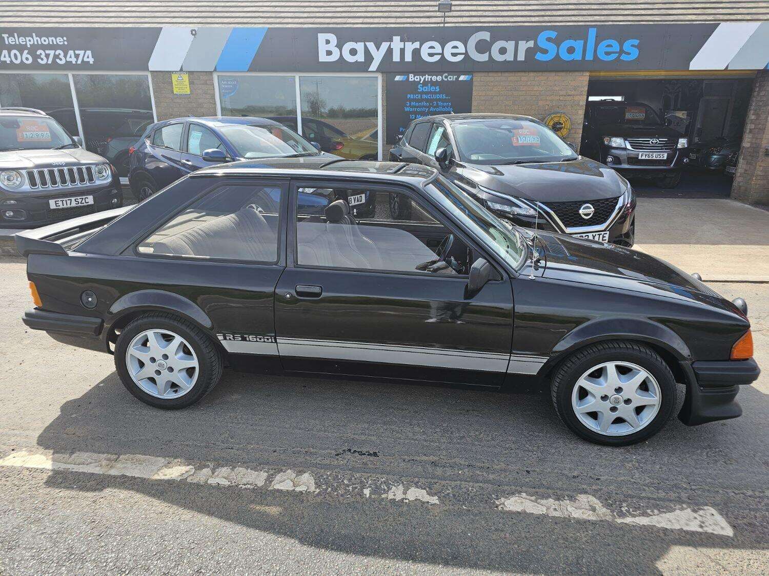 1981 FORD ESCORT 1981 FORD ESCORT