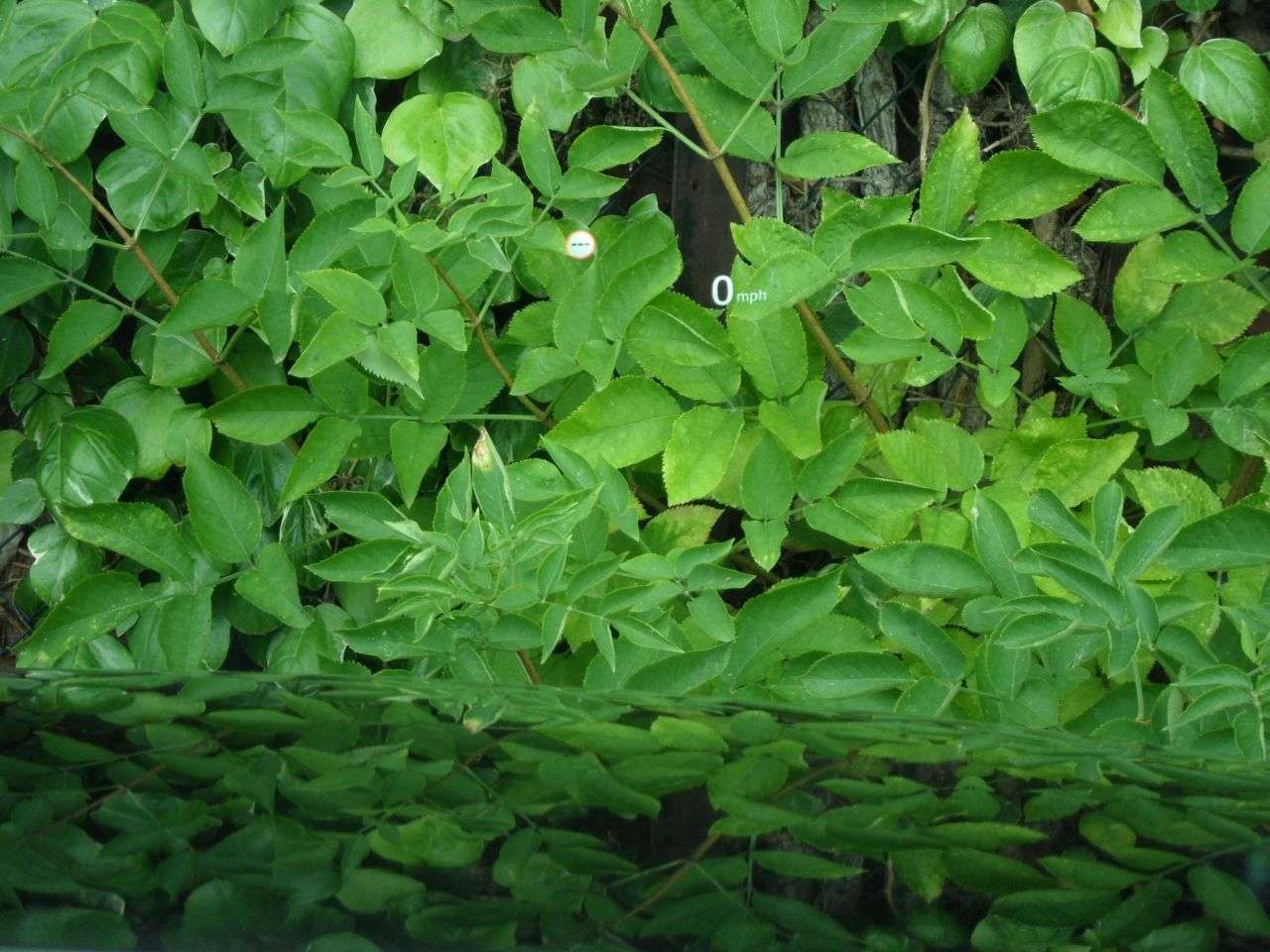 2018 MAZDA CX-5 2018 MAZDA CX-5