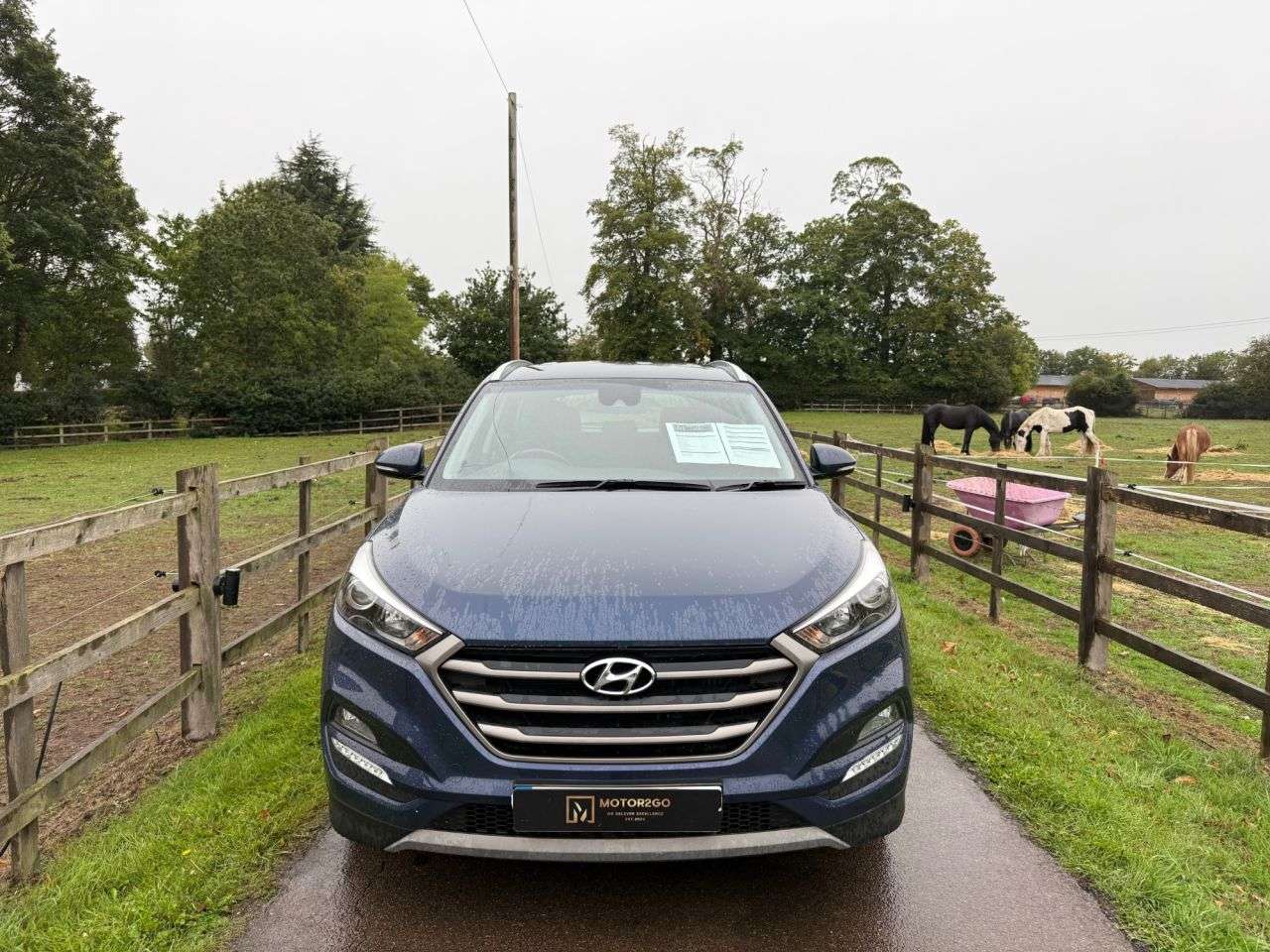 2017 HYUNDAI TUCSON 2017 HYUNDAI TUCSON