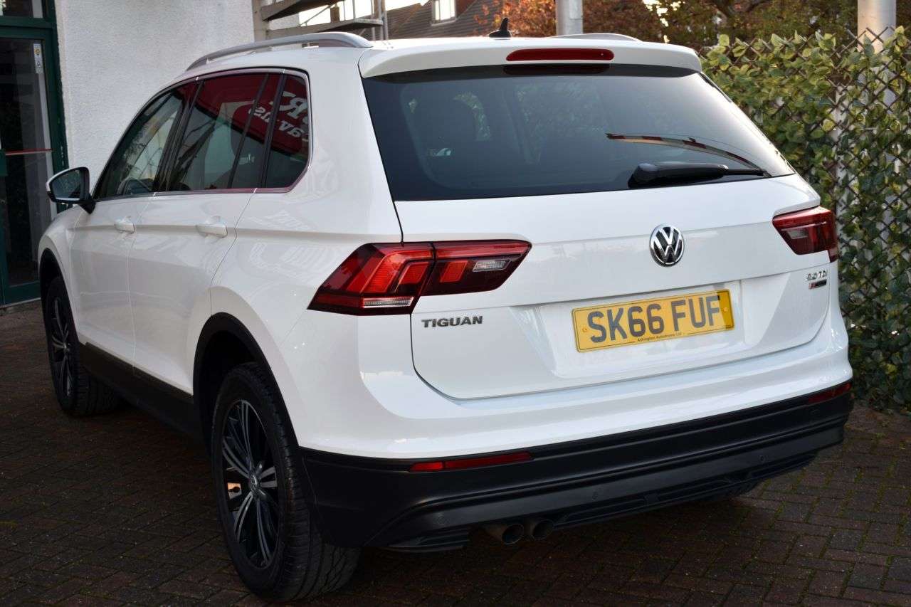 2016 VOLKSWAGEN TIGUAN 2016 VOLKSWAGEN TIGUAN