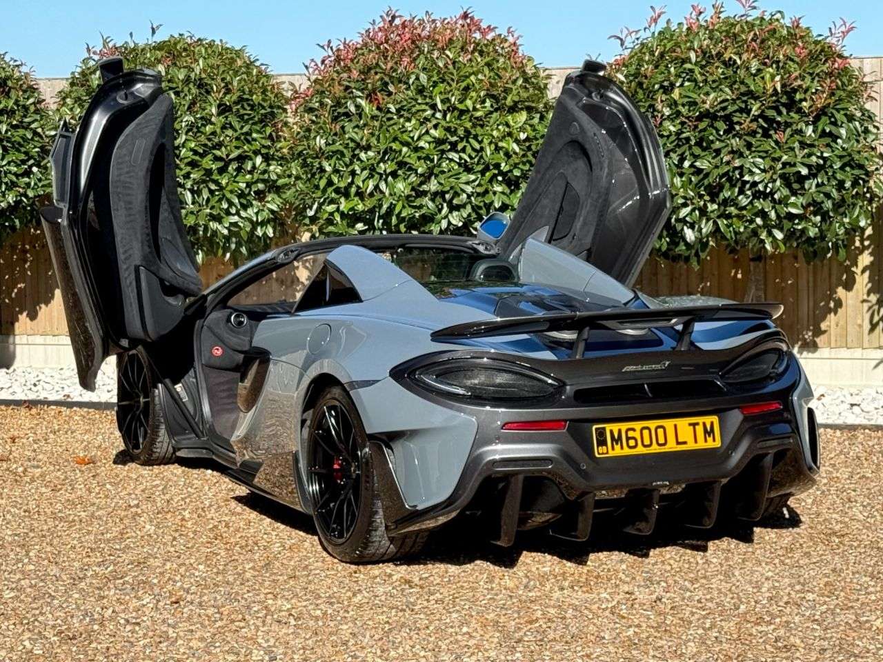 2019 MCLAREN 600LT 2019 MCLAREN 600LT