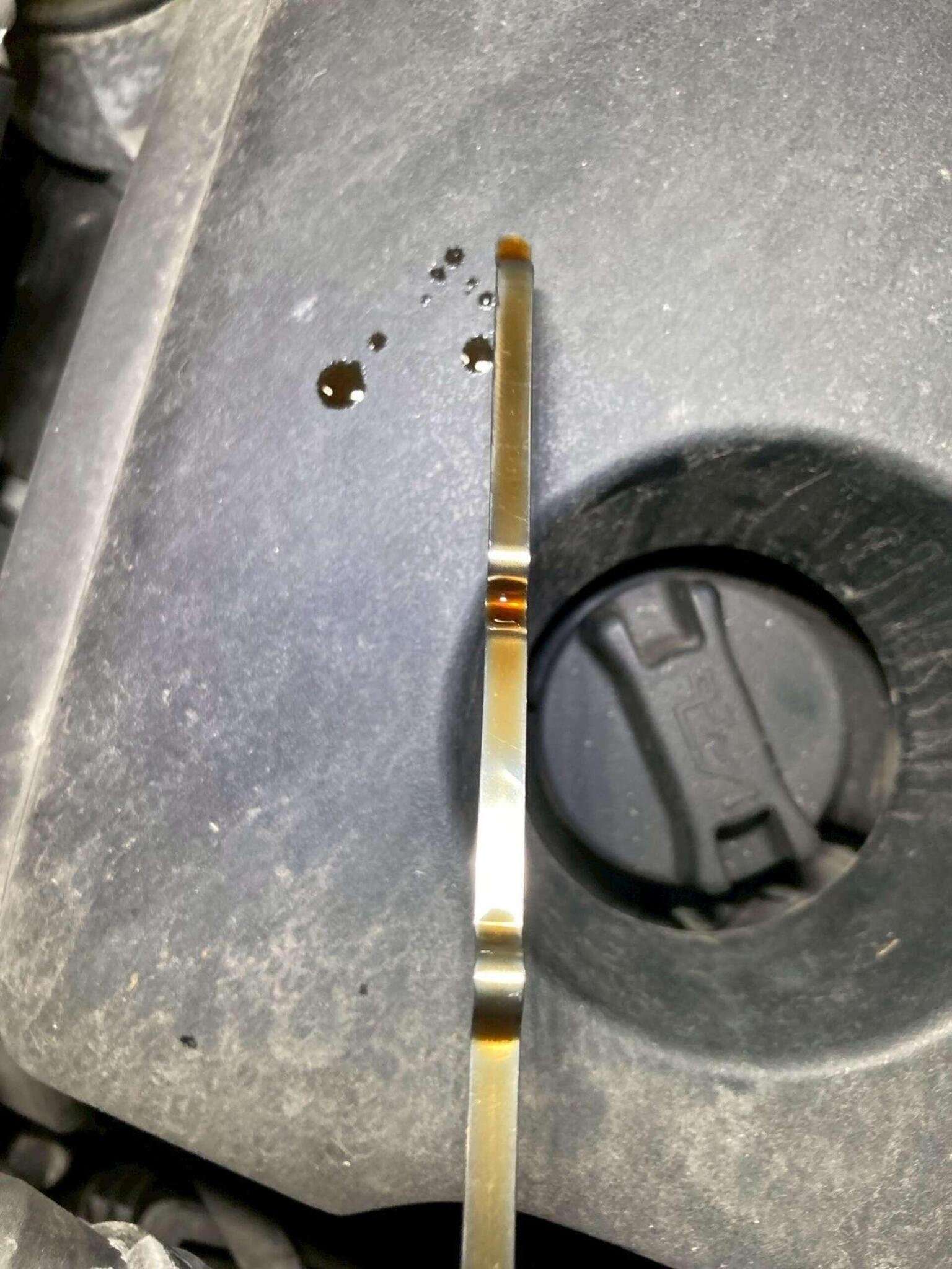 2013 NISSAN ELGRAND 2013 NISSAN ELGRAND