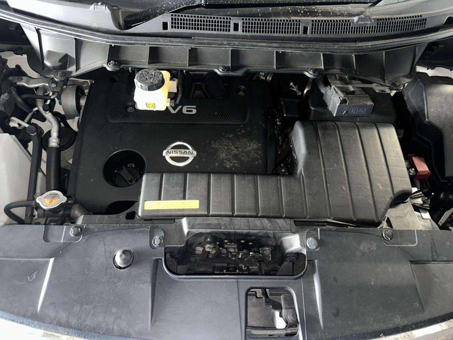 2010 NISSAN ELGRAND 2010 NISSAN ELGRAND