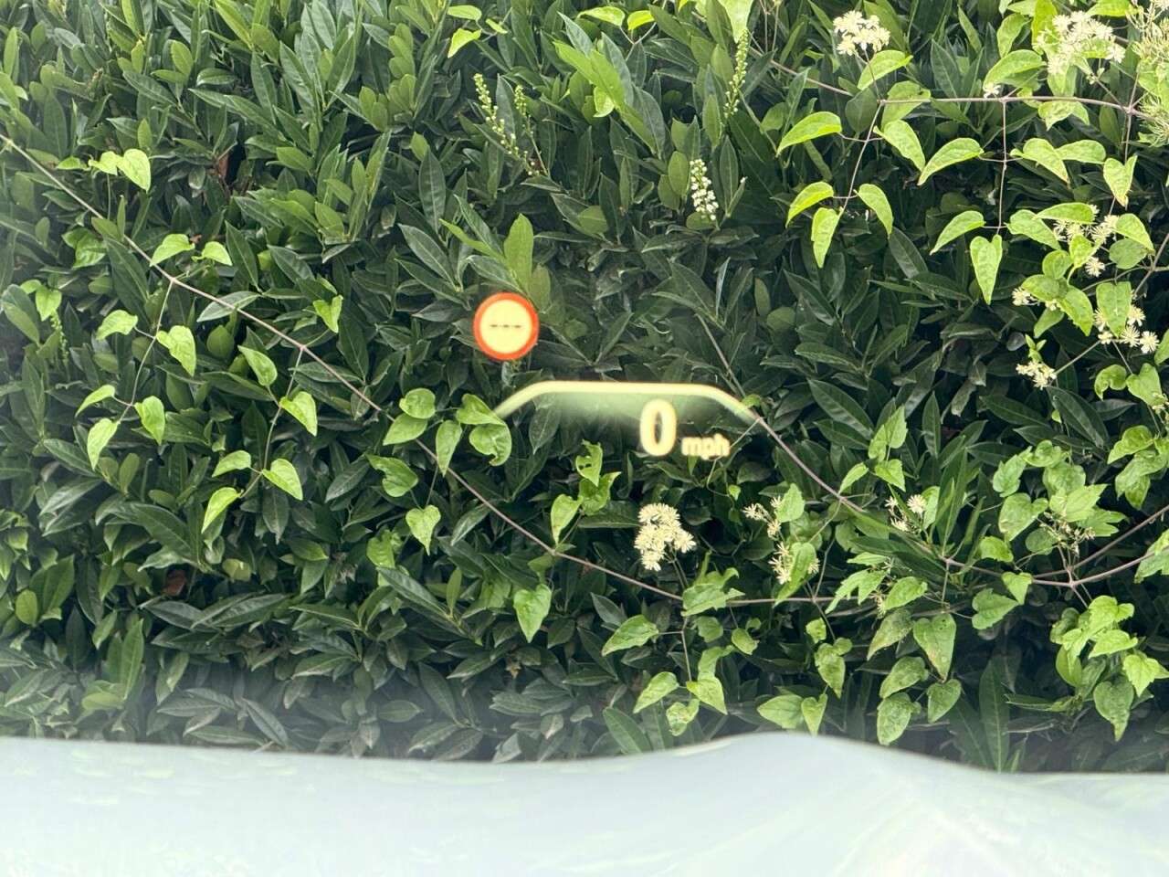 2019 BMW X3 2019 BMW X3